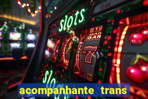 acompanhante trans porto seguro